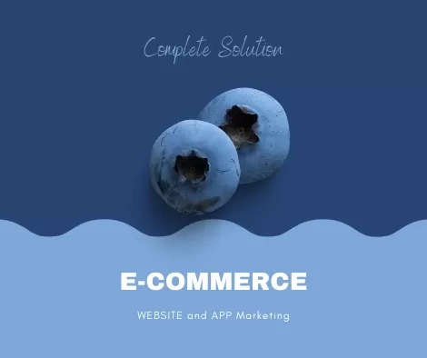 ecommerce seo