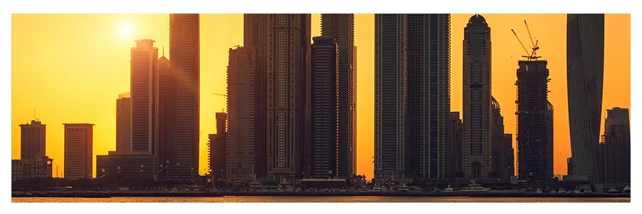 Web Designing Services in UAE