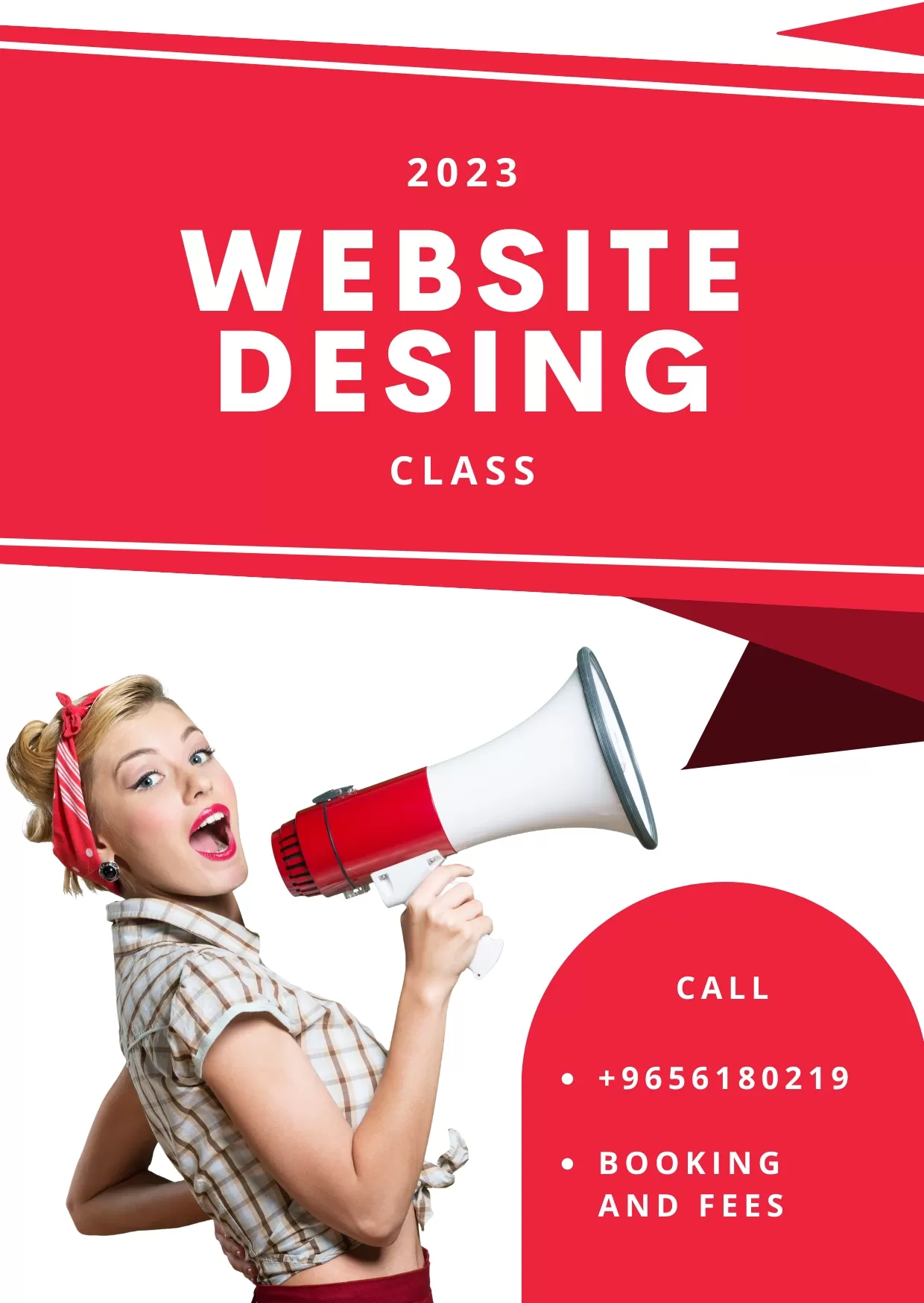 website design class 2023
