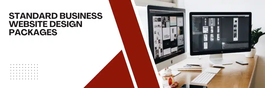 Standard Business Website design packages
