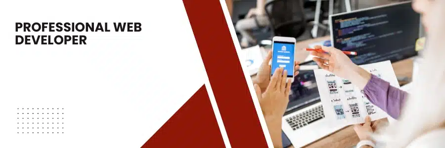 Professional Web Developer